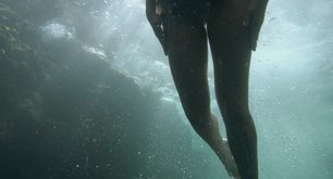 Ника Здорик